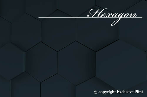 Hexagon wandpaneel
